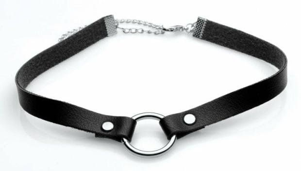 Bondage, Kink & Fetish |  Master Series Lush Pet Silver Ring Slim Choker Bondage, Kink & Fetish Bondage, Kink & Fetish